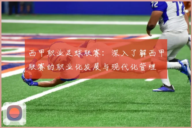 西甲职业足球联赛：深入了解西甲联赛的职业化发展与现代化管理